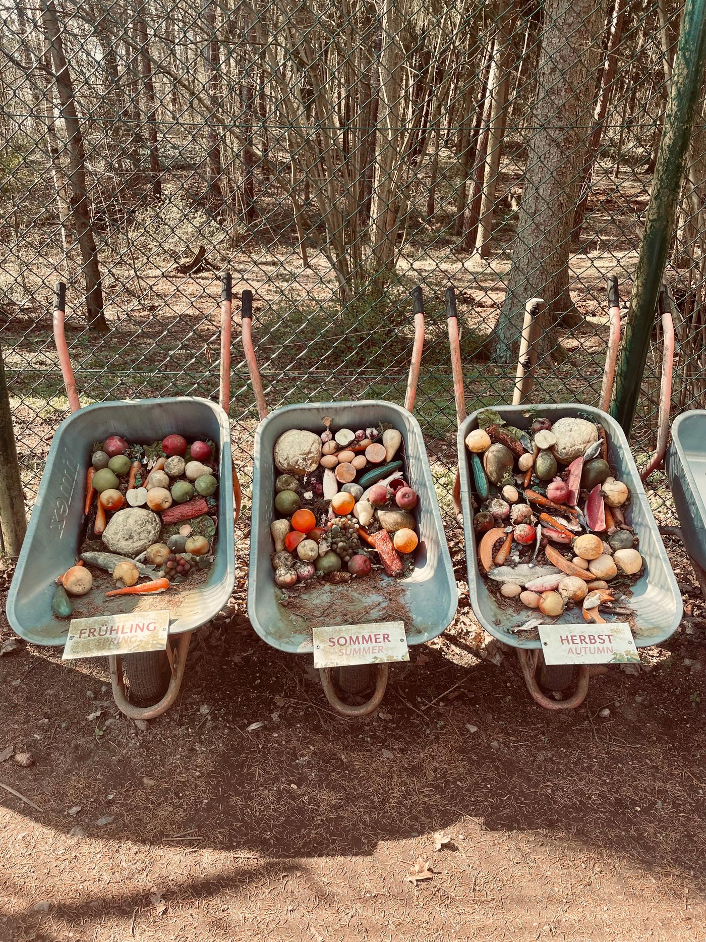 Ein natürliches Paradies für gerettete Bären