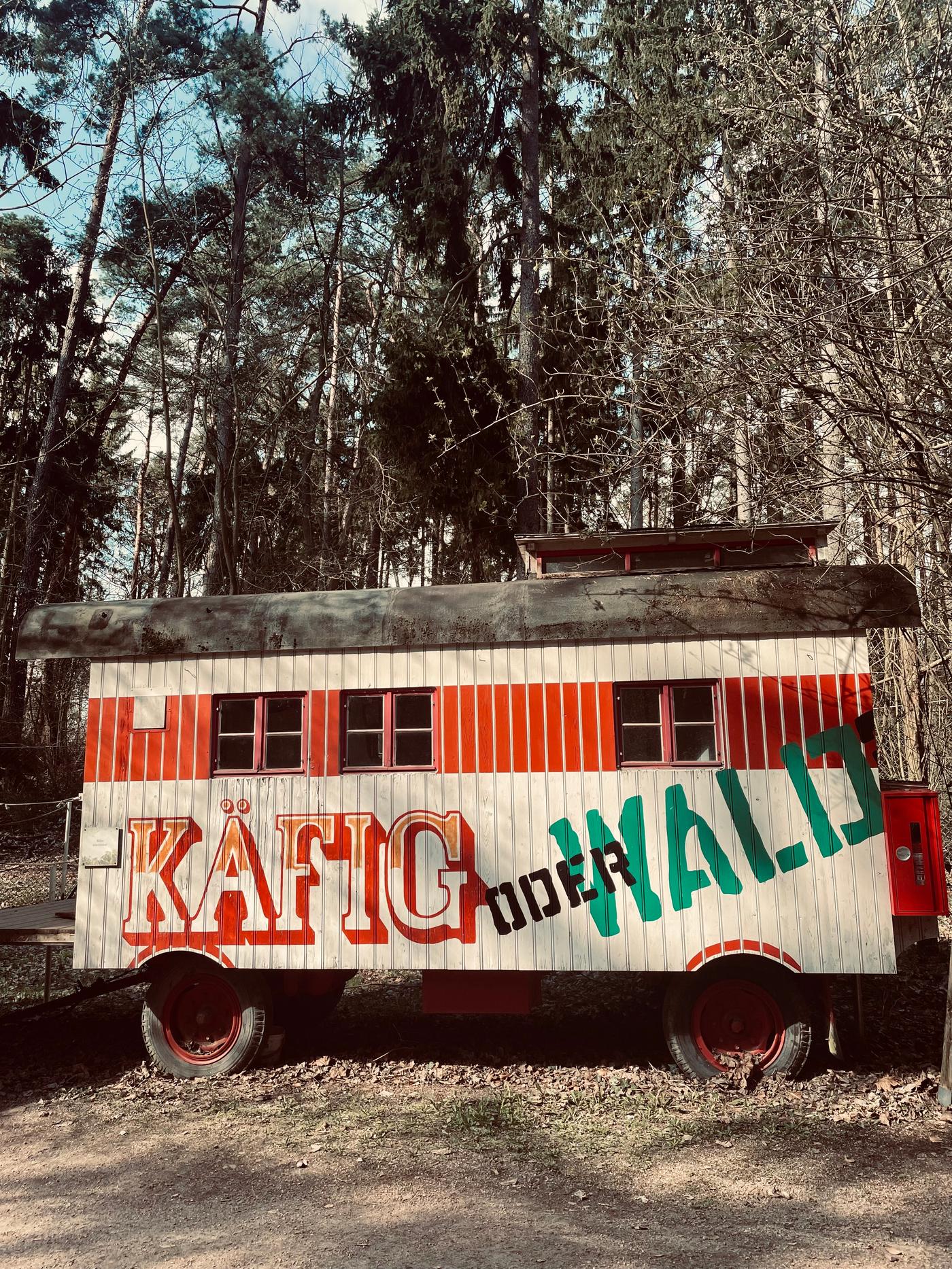 Ein natürliches Paradies für gerettete Bären