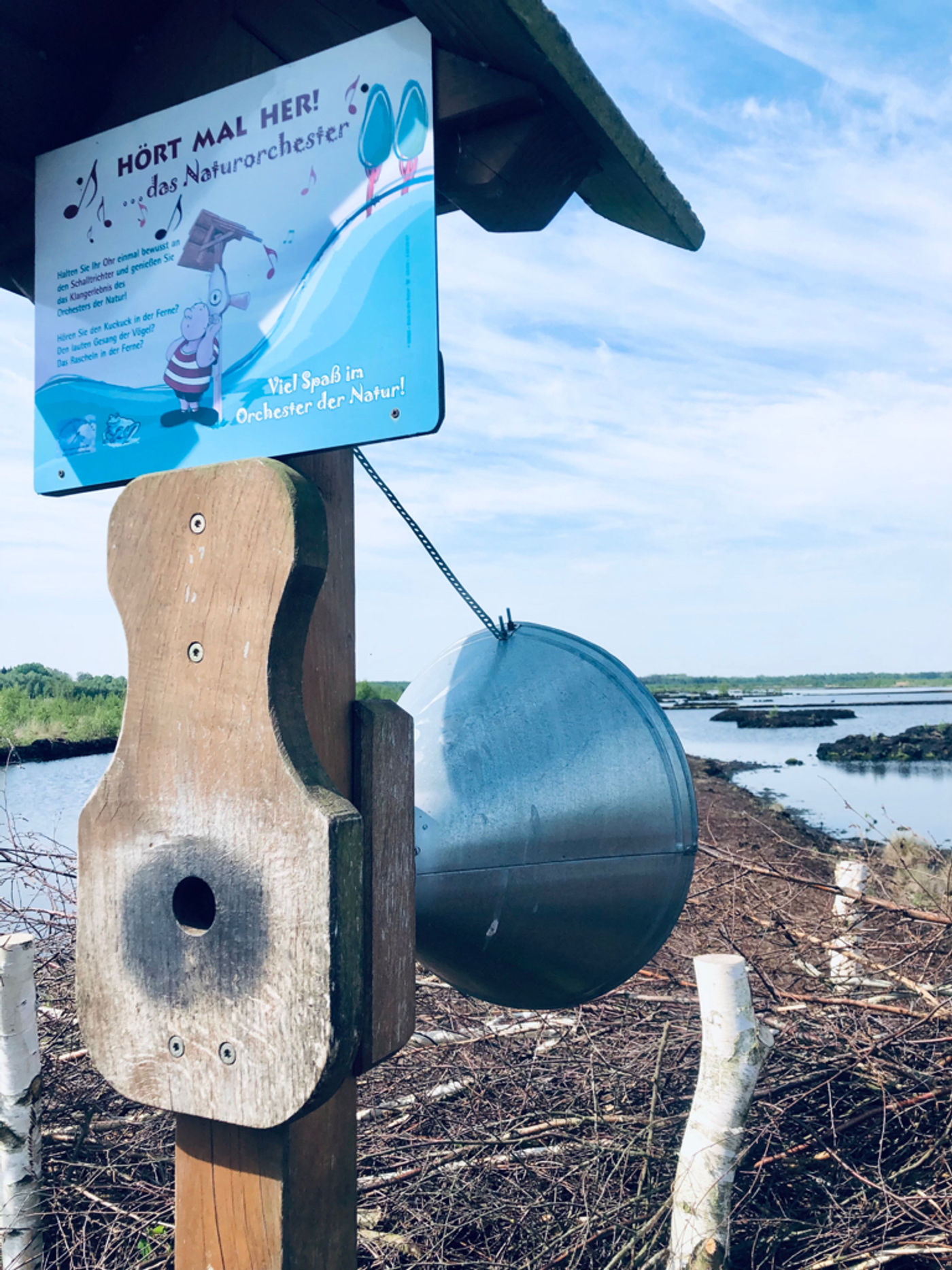 Naturorchester lauschen