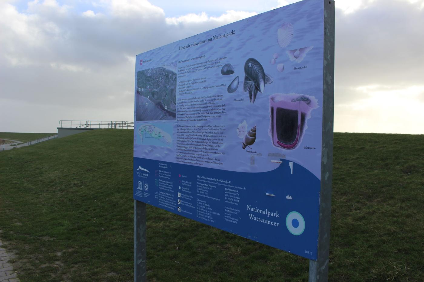 Natur hautnah erleben