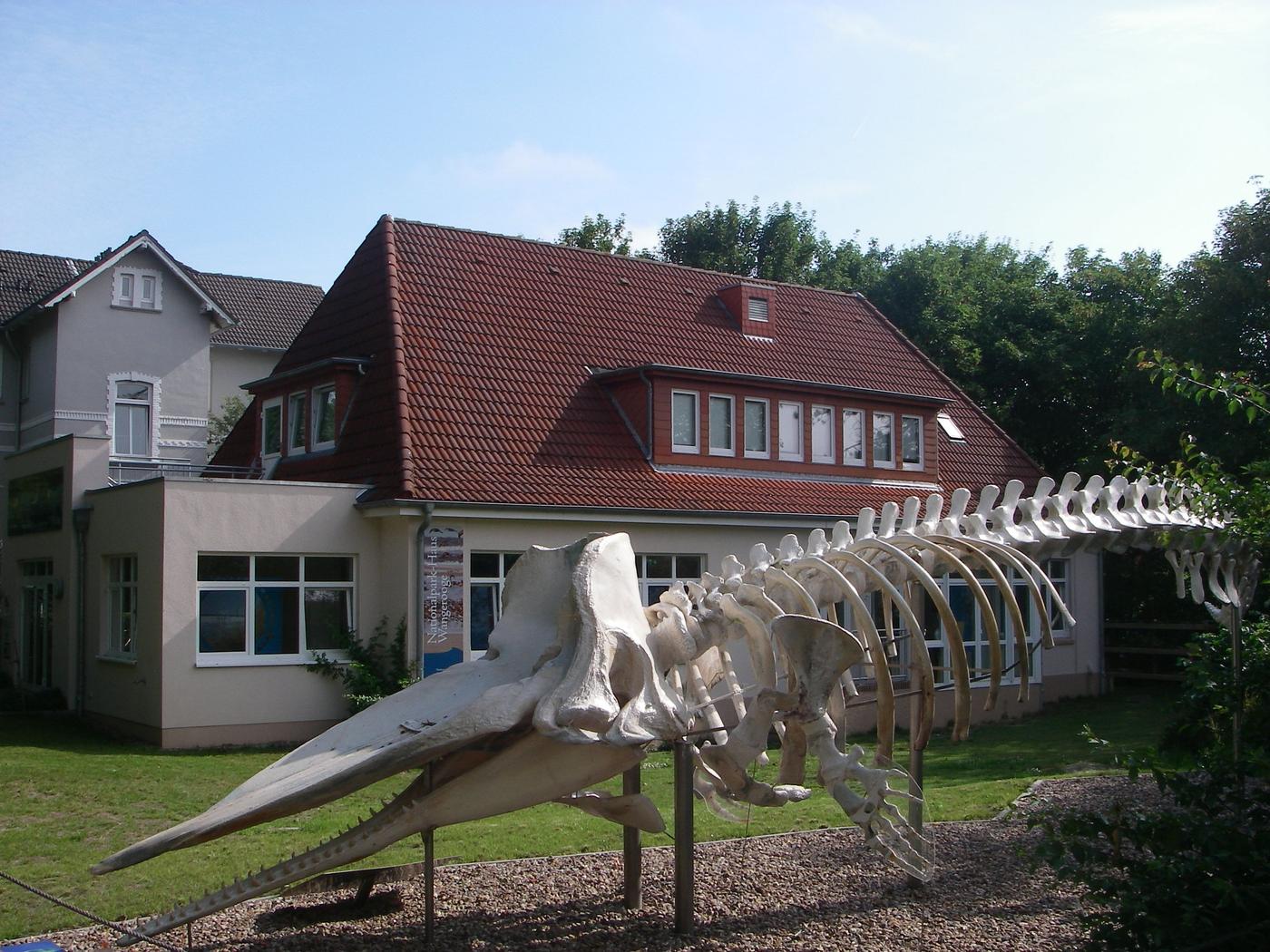 Wissen spielerisch entdecken