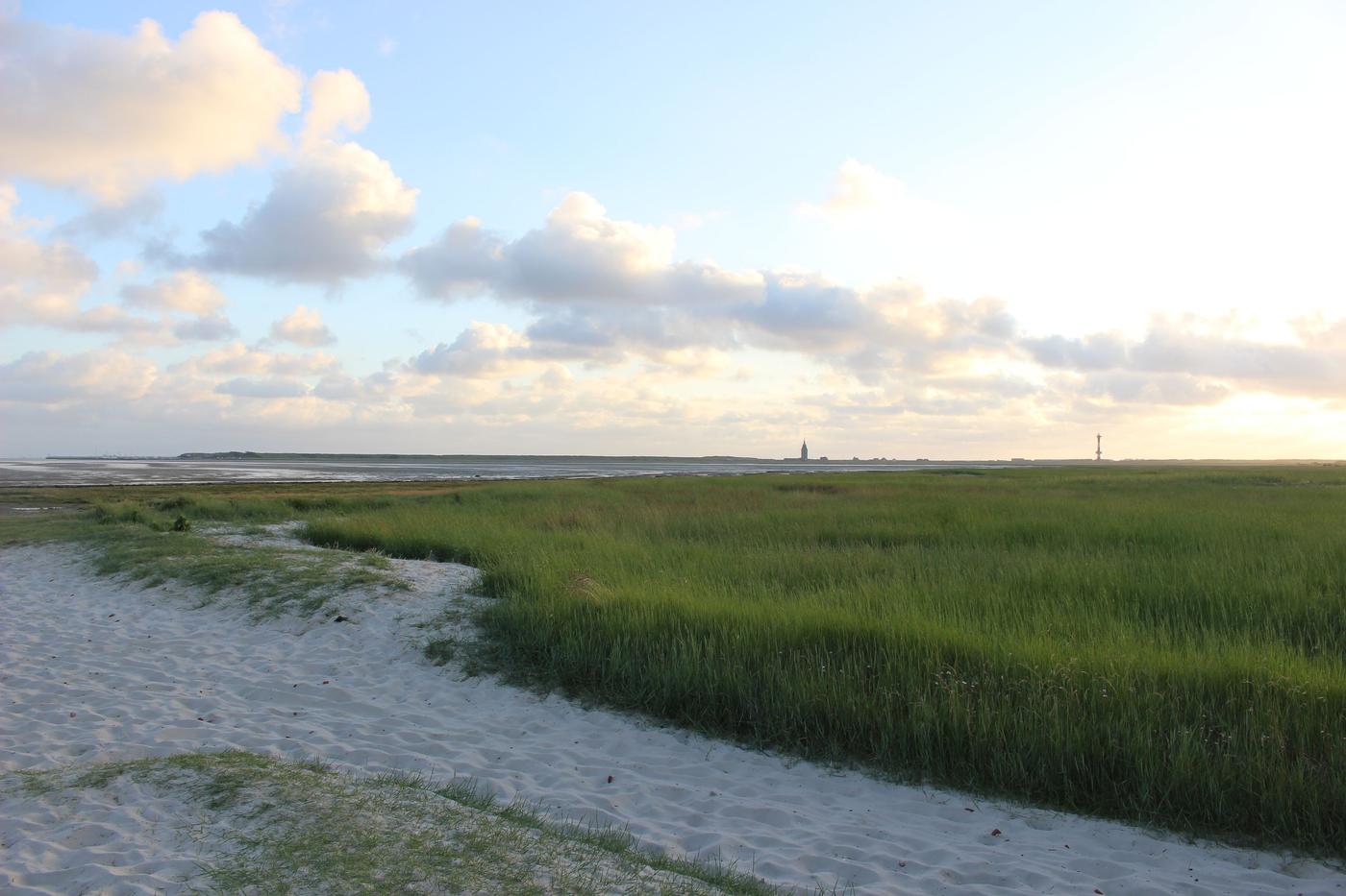 Natur hautnah erleben