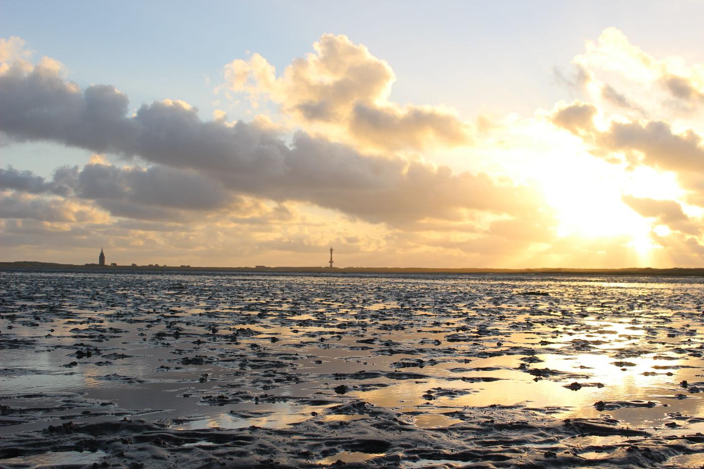 Natur hautnah erleben