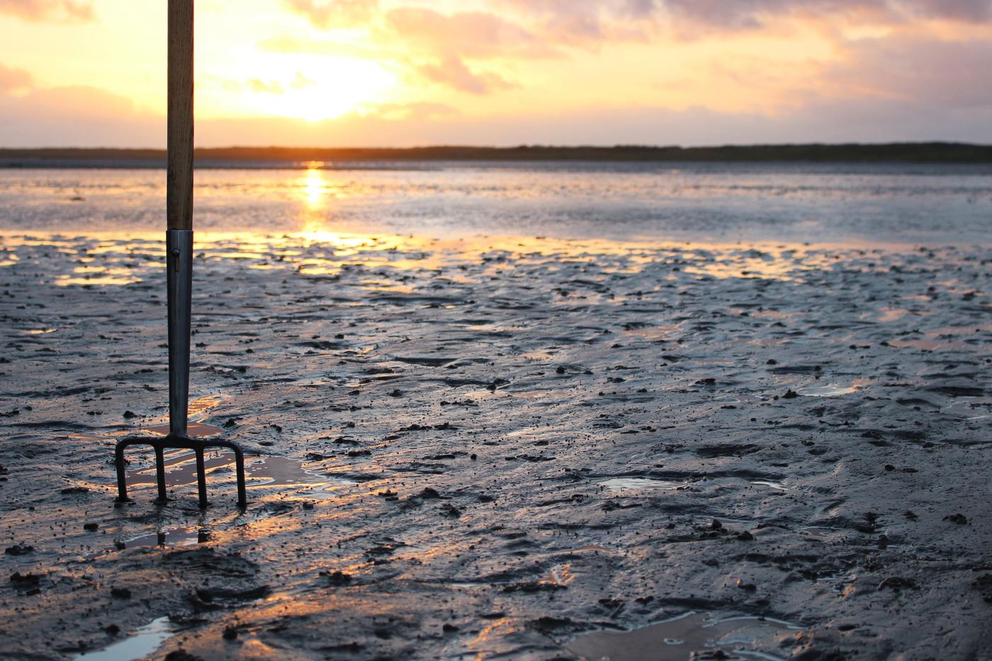 Natur hautnah erleben