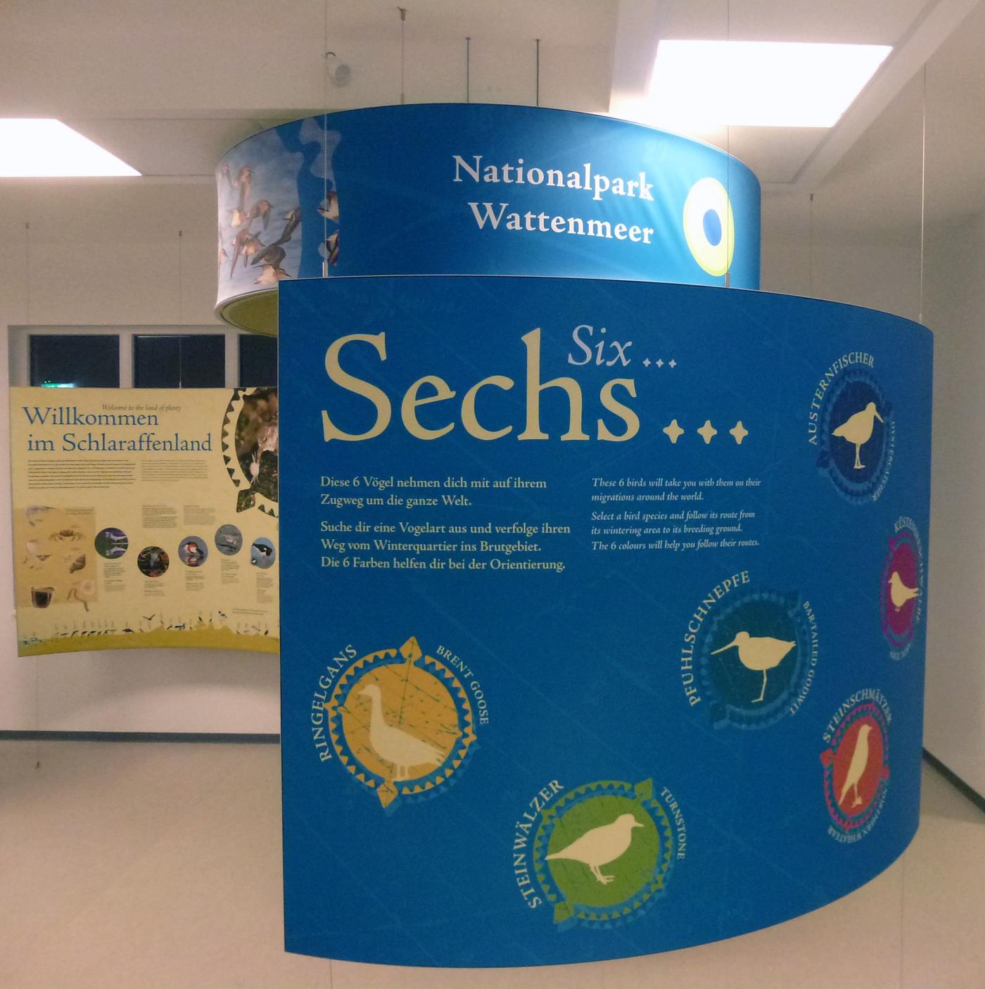 Wissen spielerisch entdecken