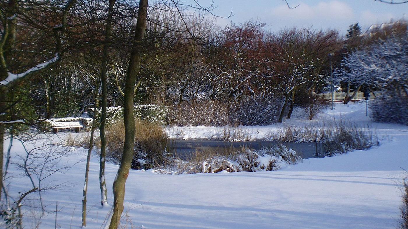 Ruhe zwischen Bäumen