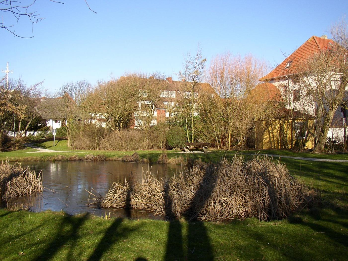 Ruhe zwischen Bäumen