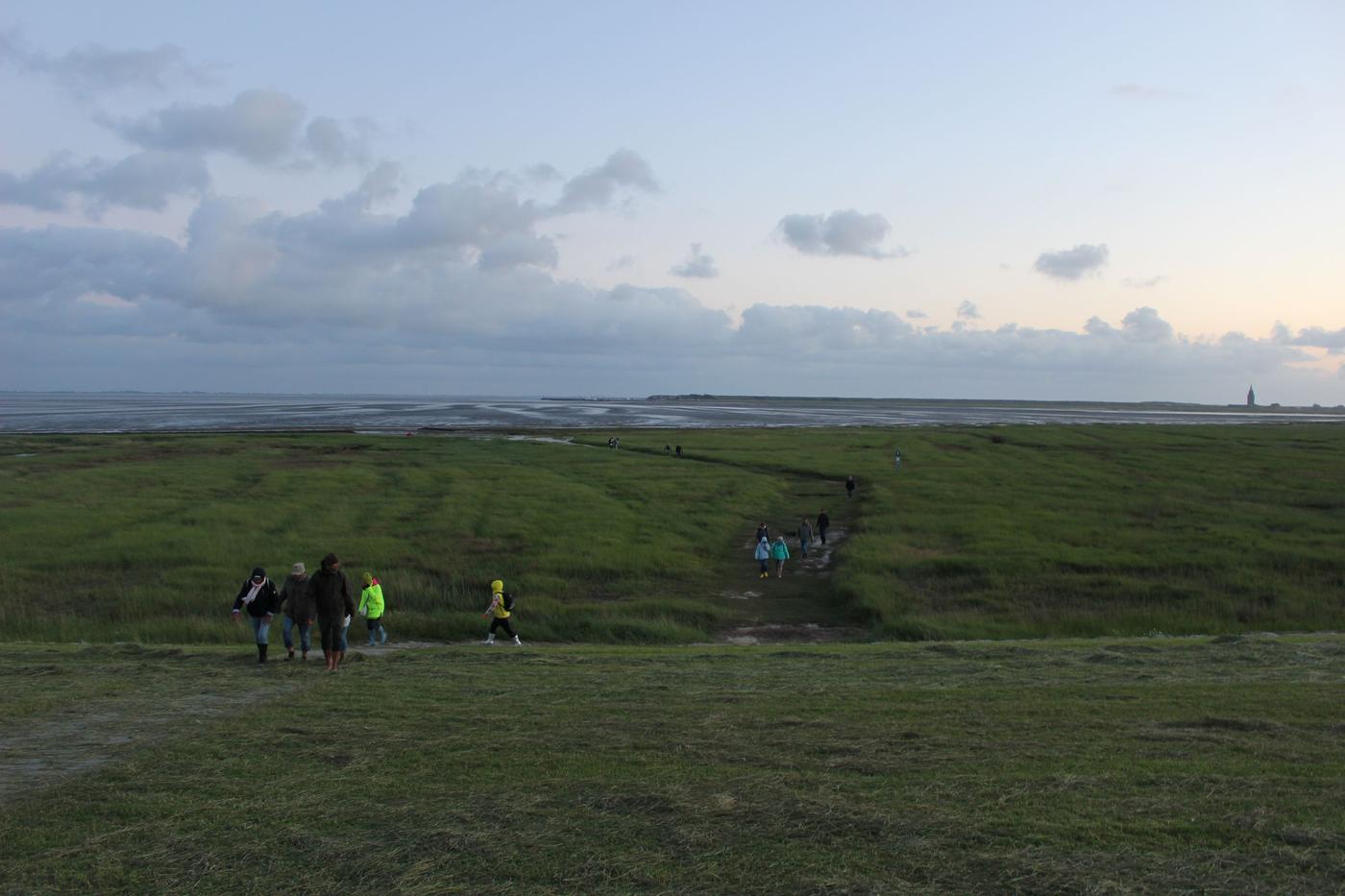 Natur hautnah erleben