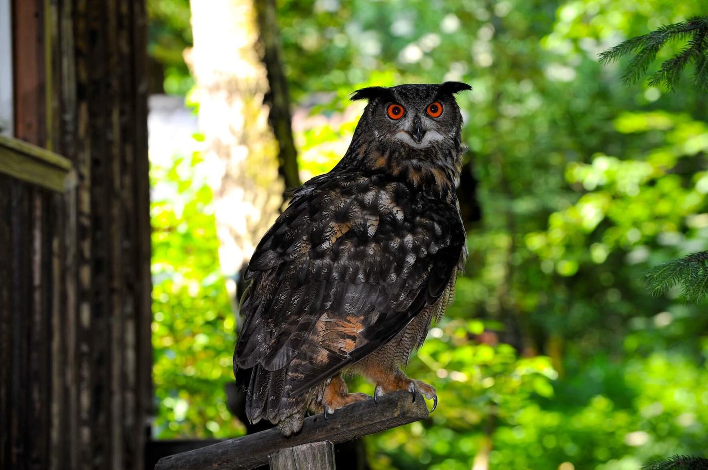 Erfrischendes Naturparadies