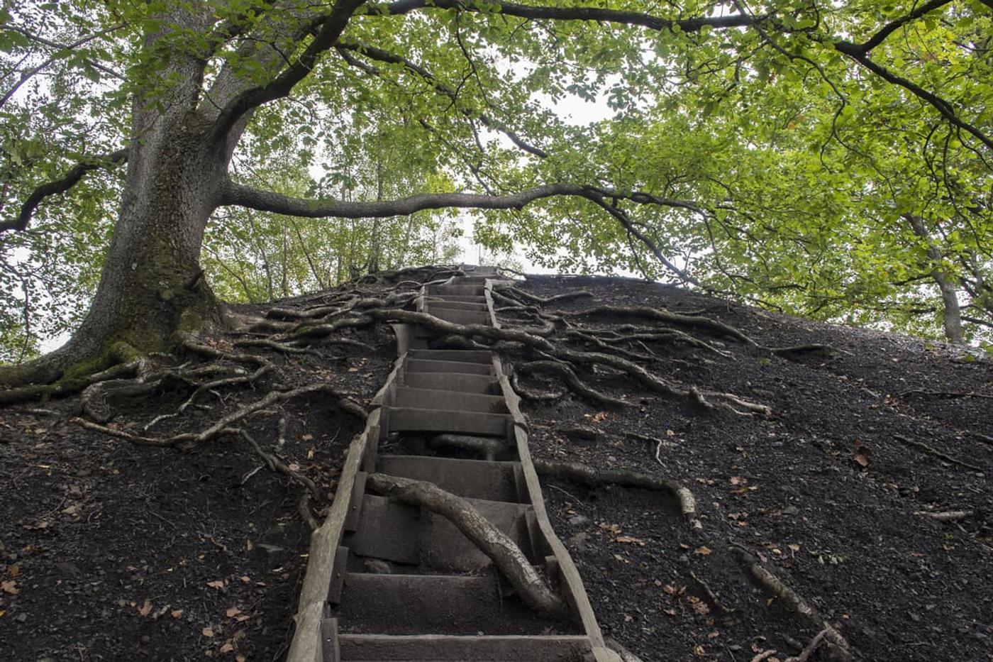 Entdecke Saarbrückens verborgene Schätze