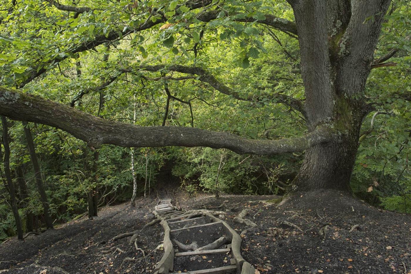 Entdecke Saarbrückens verborgene Schätze