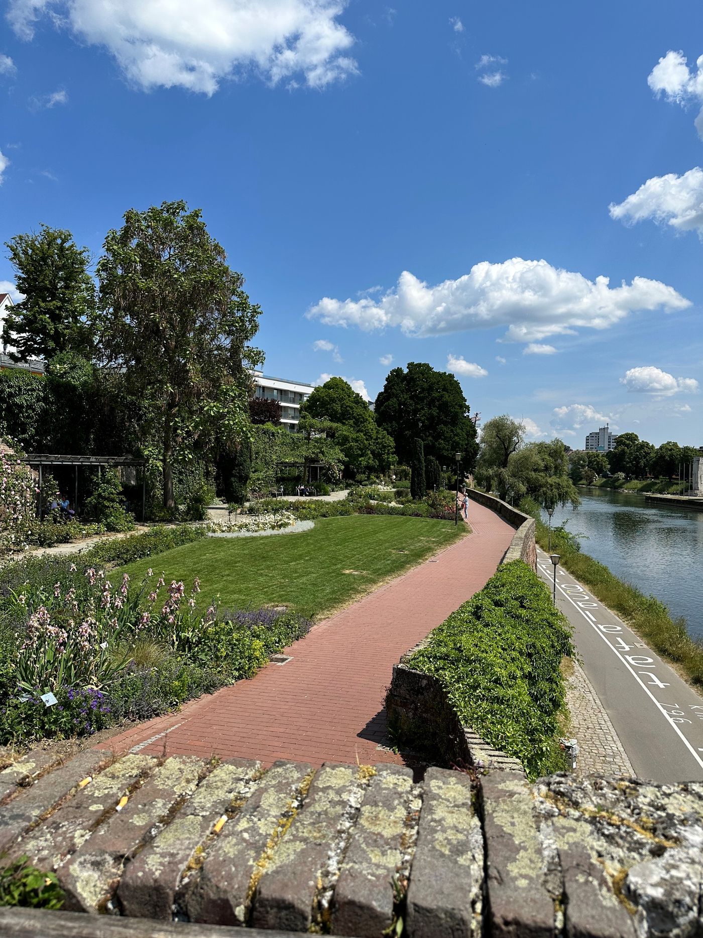 Blühende Oase am Donauufer