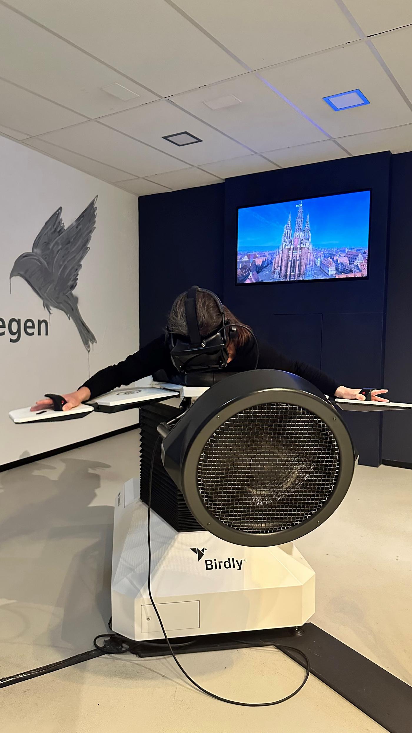 Der Traum vom Fliegen