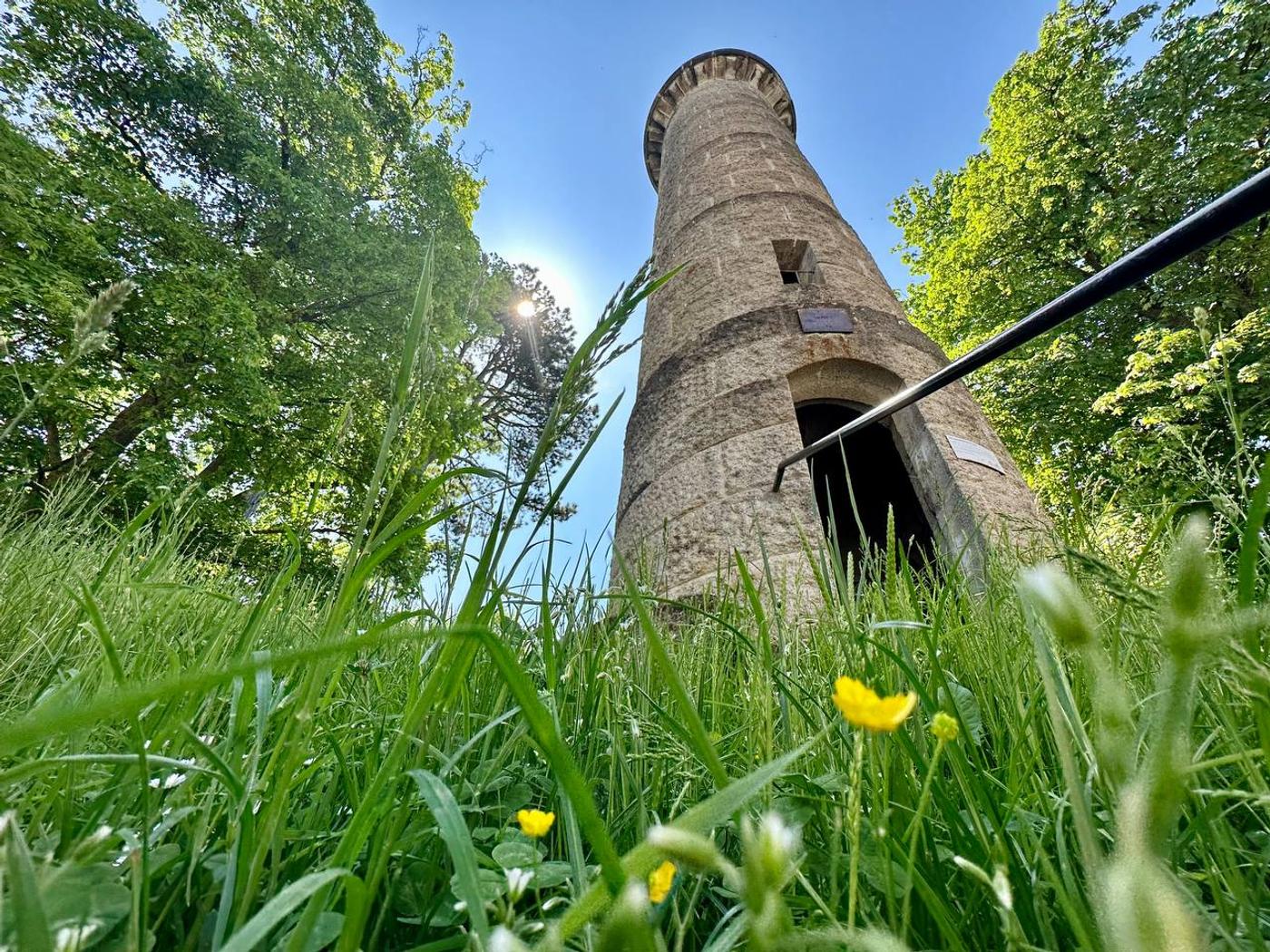 Über den Dächern Ulms