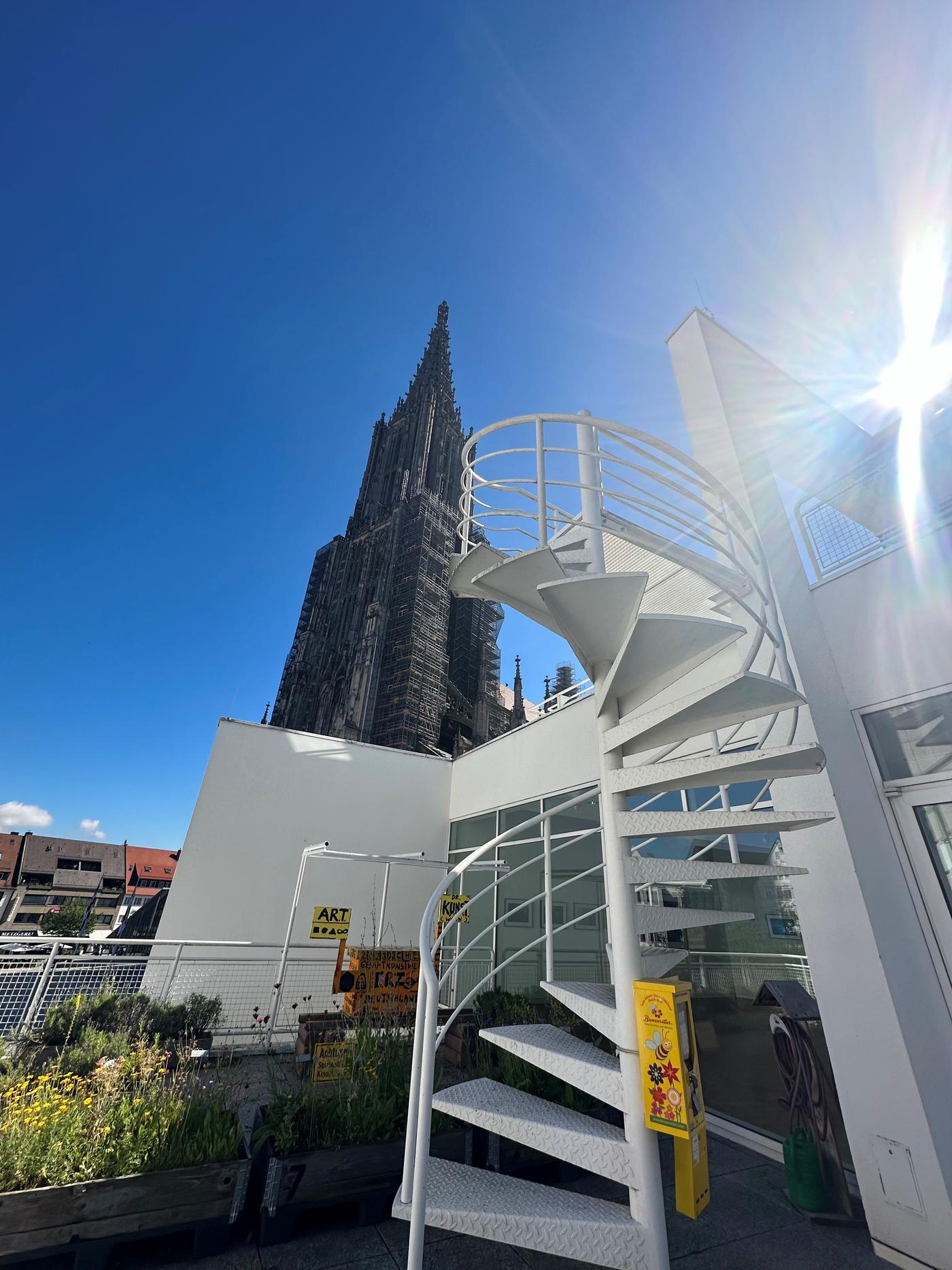 Sonnenterrasse mitten auf dem Münsterplatz