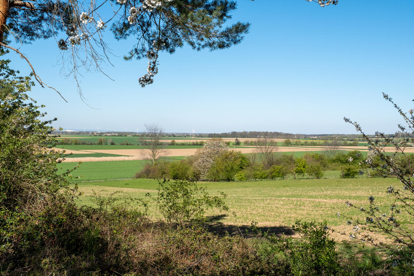 Idyllischer Rastplatz mit Weitblick