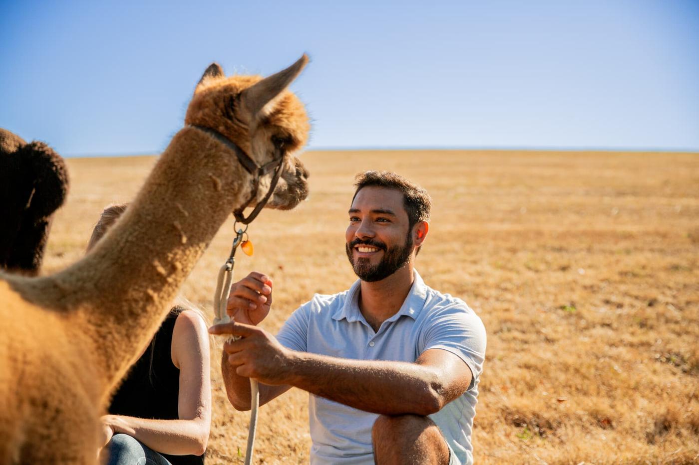 Wandern mit flauschigen Begleitern