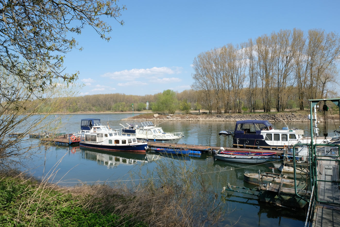 Naturparadies im Rhein entdecken
