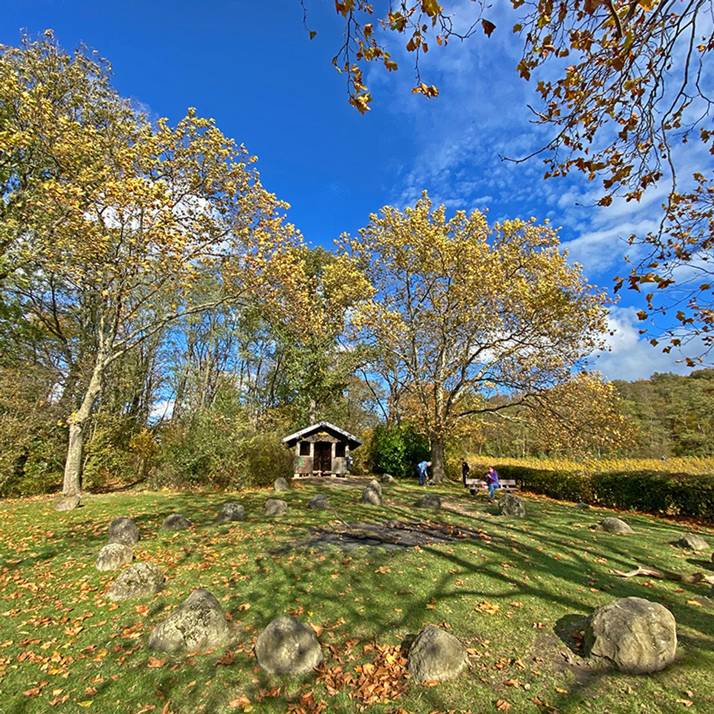 Sonnenuntergang inmitten der Weinberge