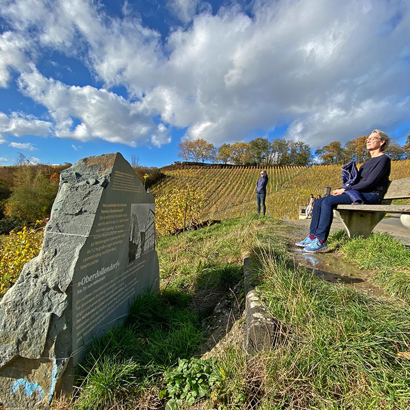 Sonnenuntergang inmitten der Weinberge
