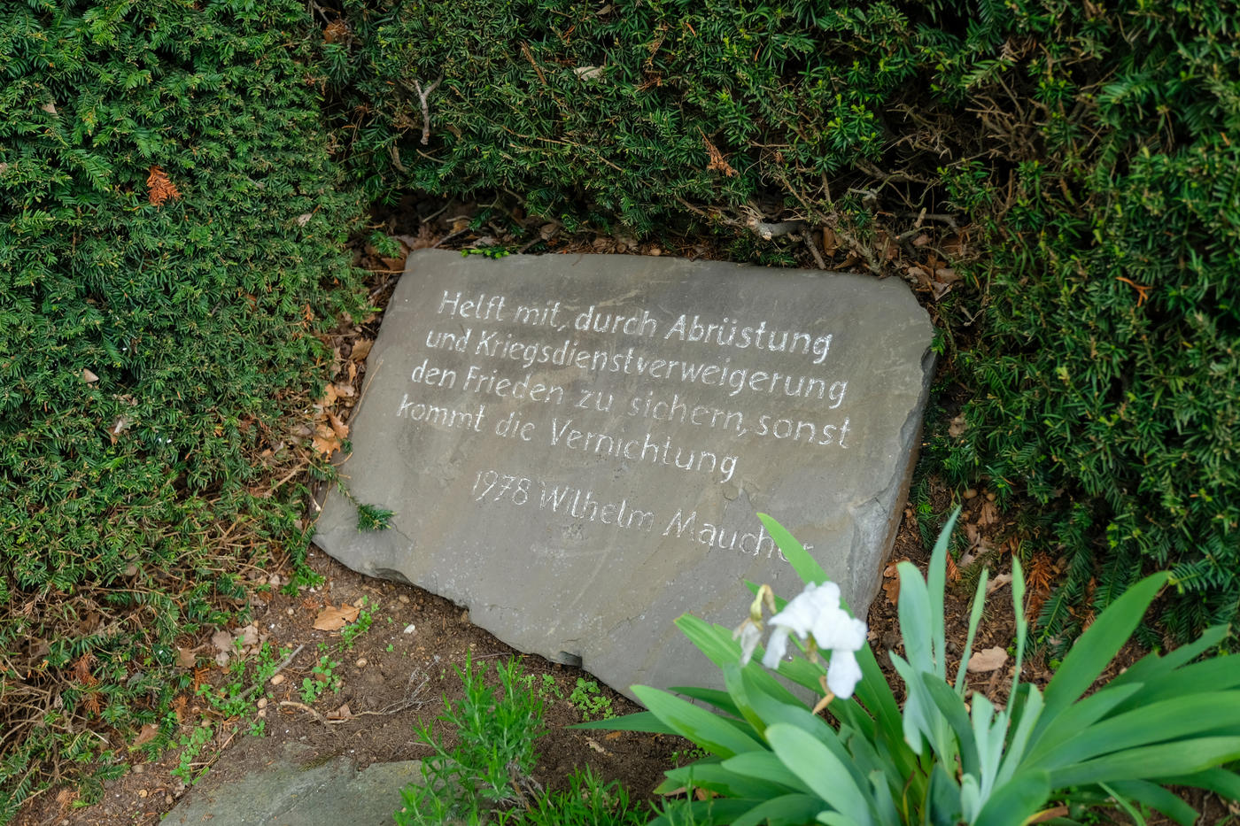 Ein Pfad der Geschichte und des Friedens