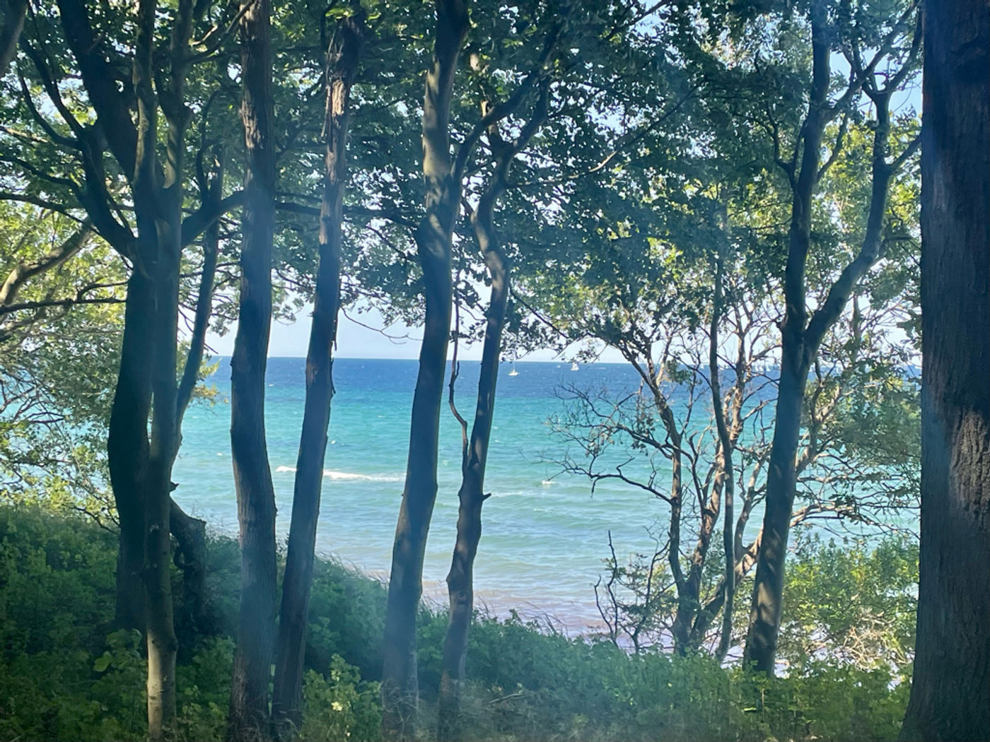 Waldspaziergang mit Meerblick