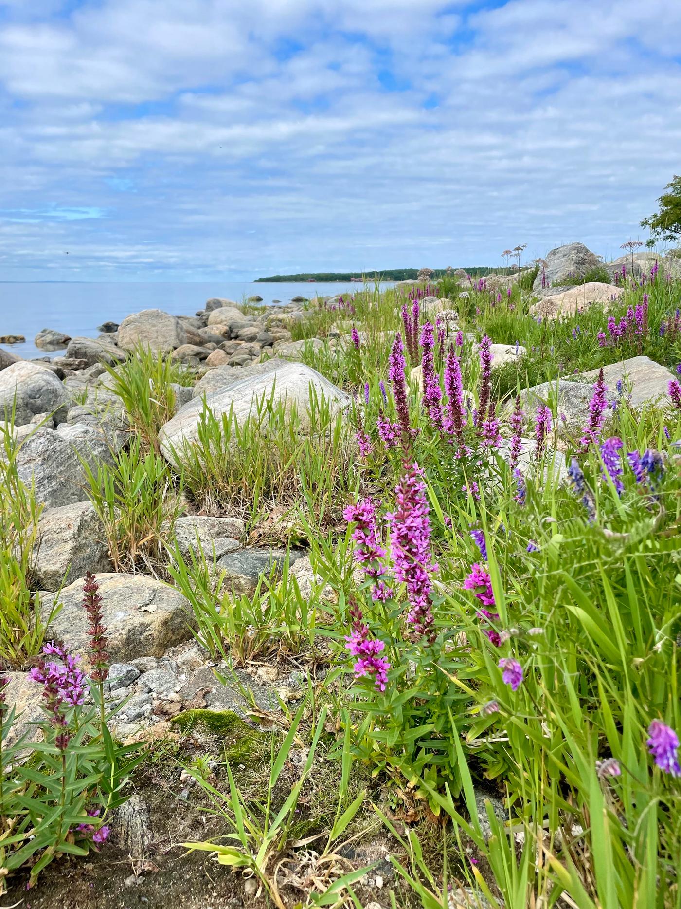 Steinlabyrinth von Kuggörens