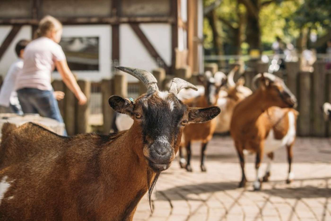 Für Tierfreund*innen