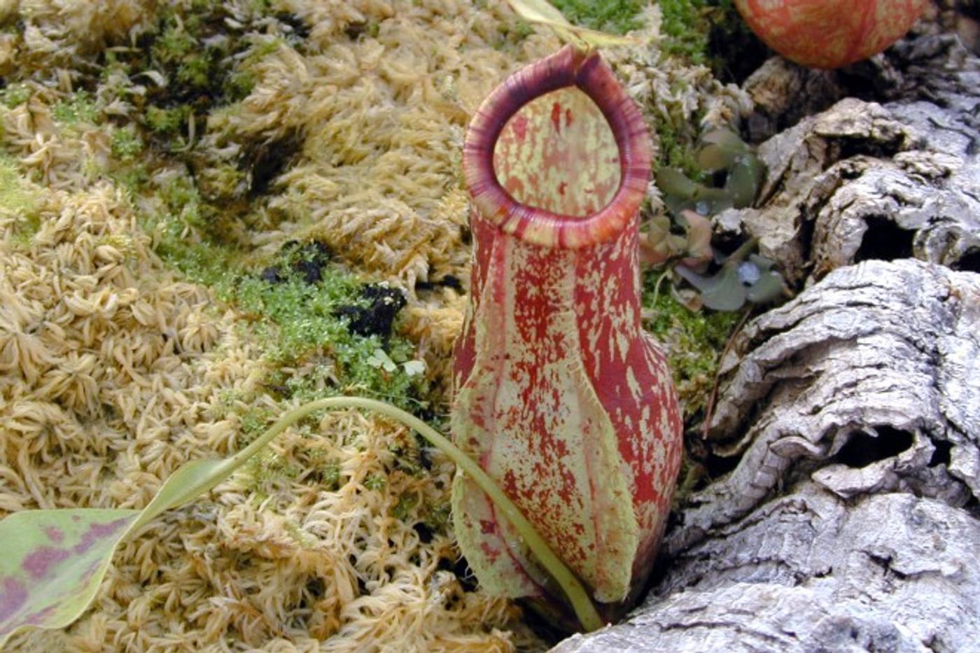 Naturerlebnisse vor deiner Haustür