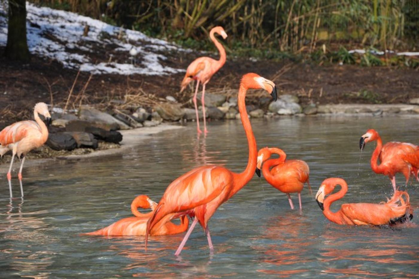 Für Tierfreund*innen