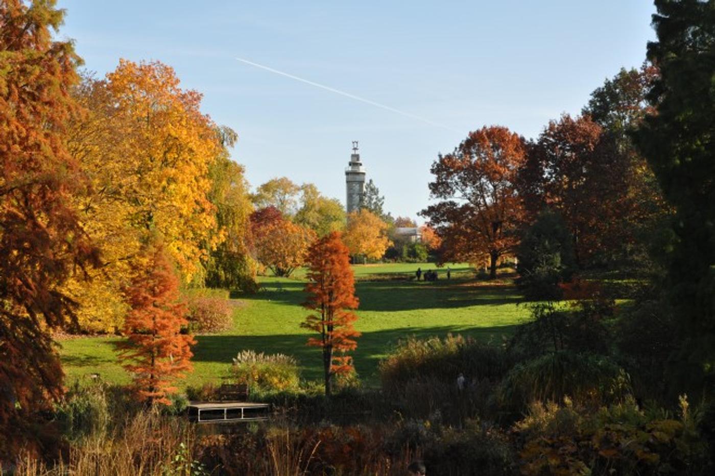 Naturerlebnisse vor deiner Haustür