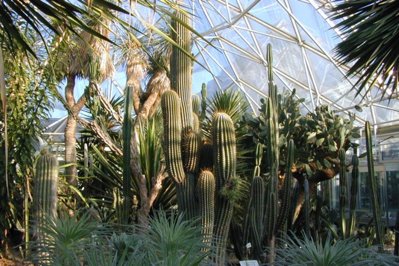 Naturerlebnisse vor deiner Haustür