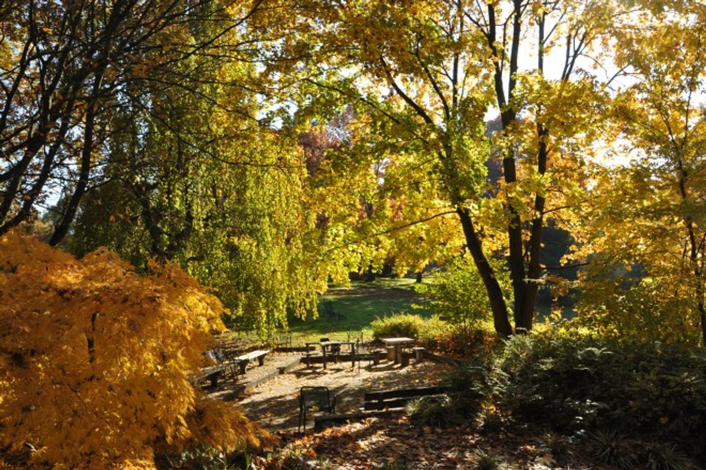 Naturerlebnisse vor deiner Haustür