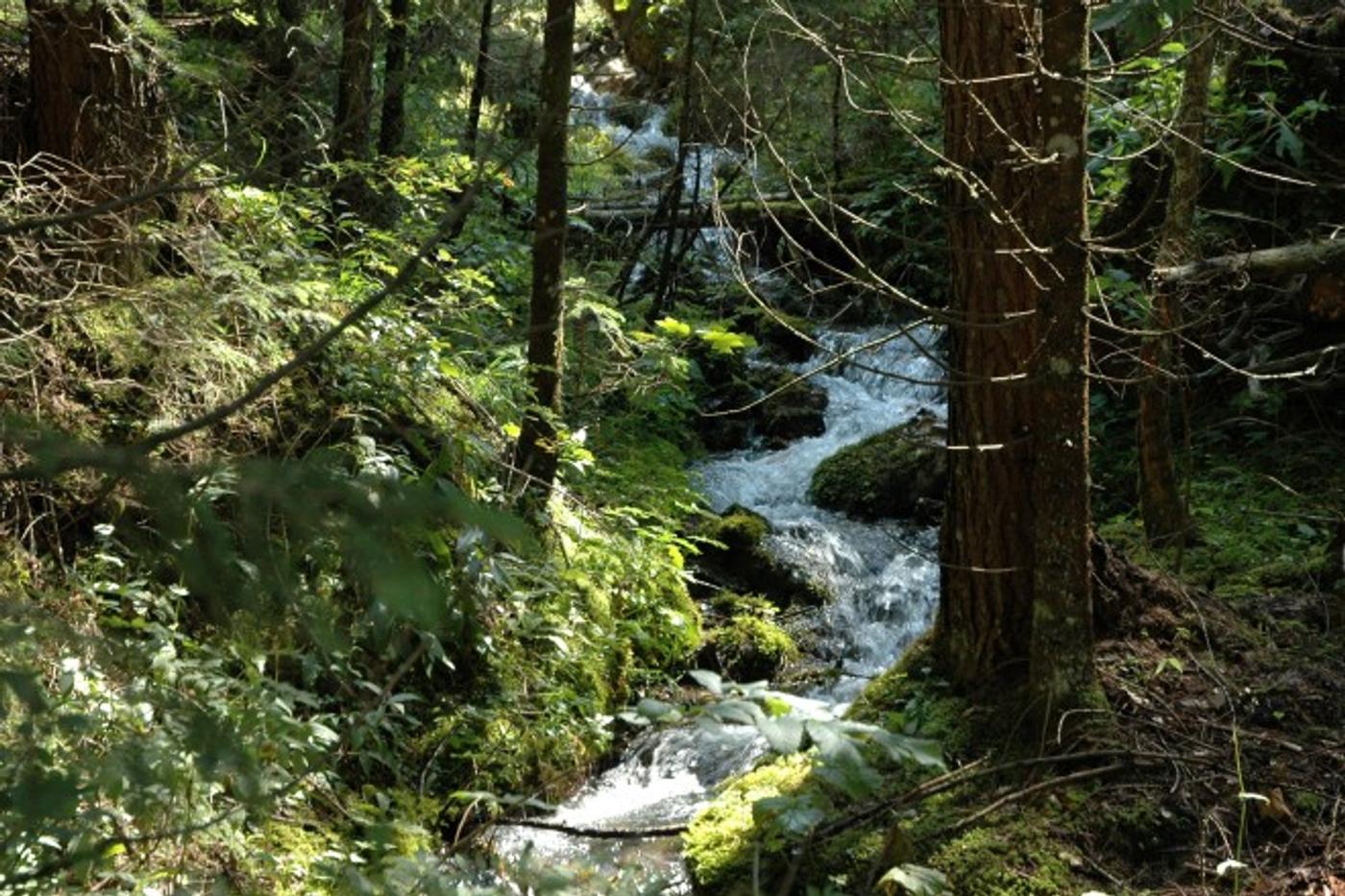 Naturerlebnisse vor deiner Haustür