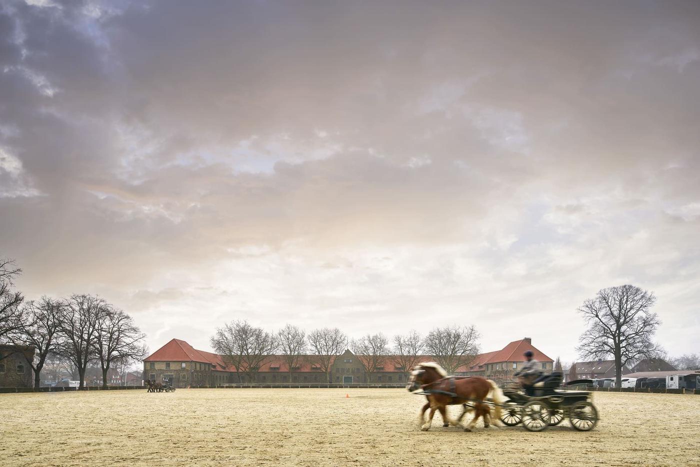 Pferdezucht und Tradition