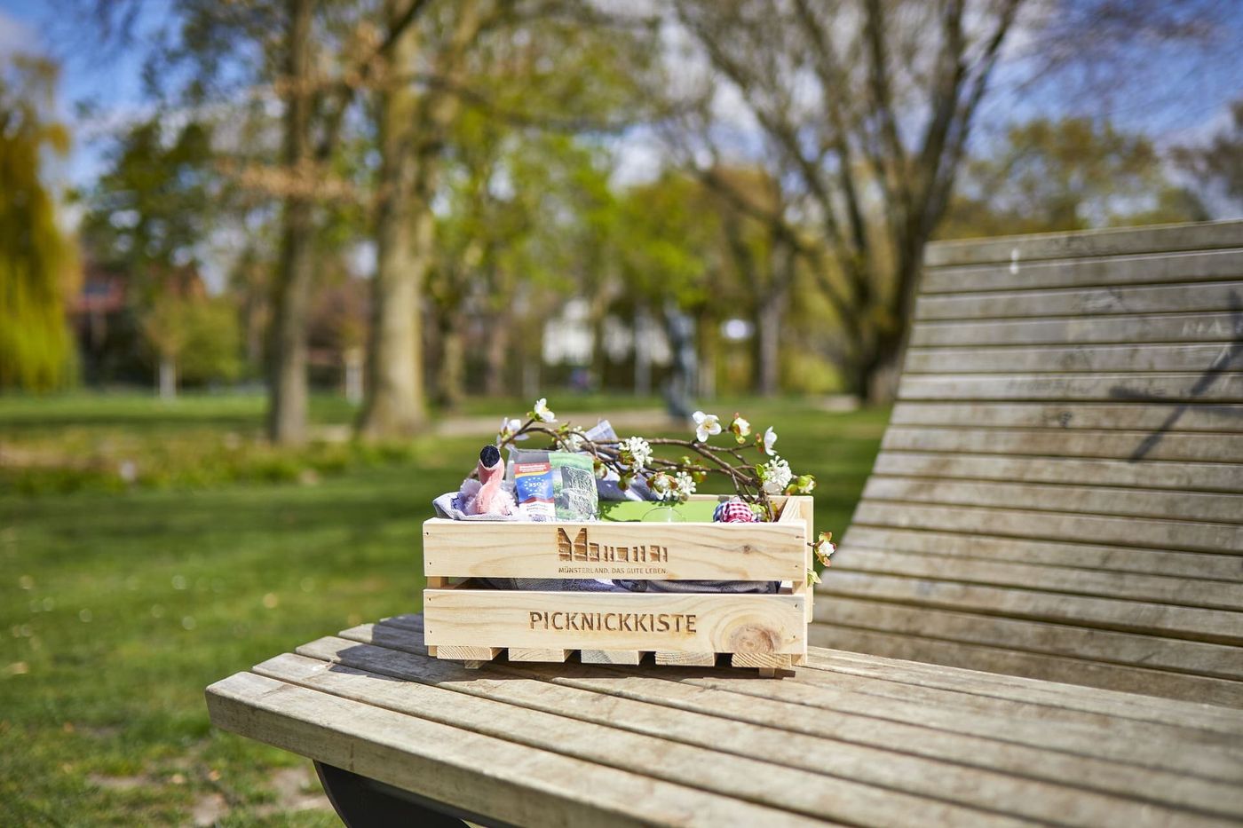 Picknickparadies im Grünen