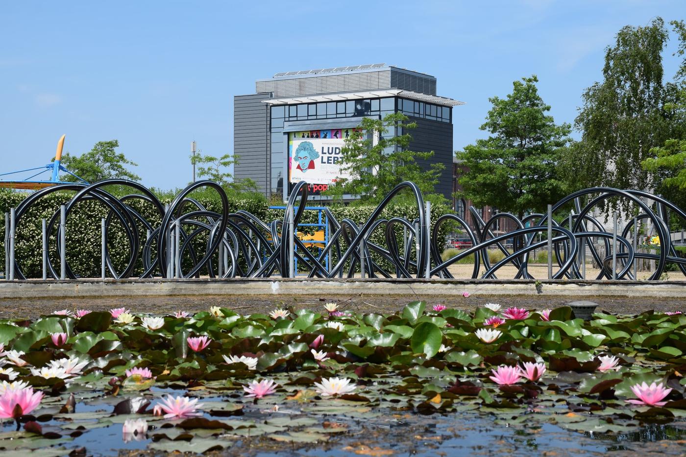 Die grüne Insel und das Wasser