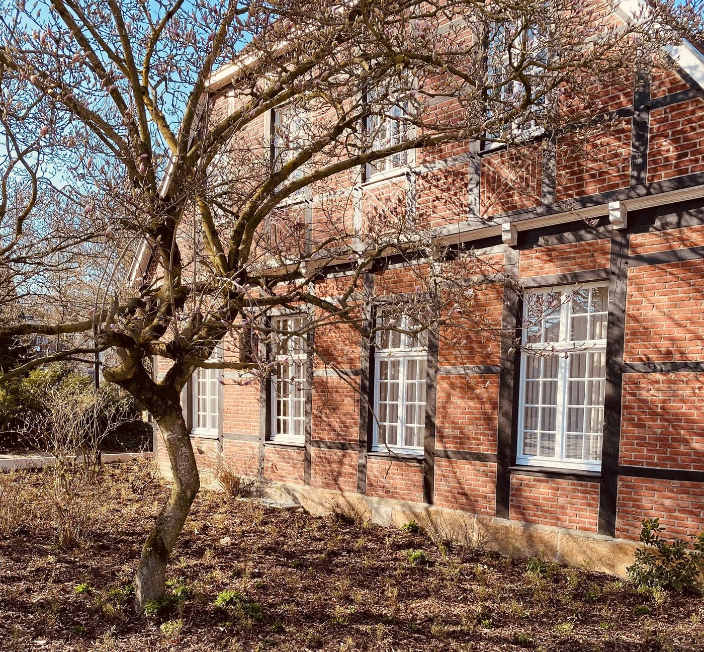 Vier auf einen Streich