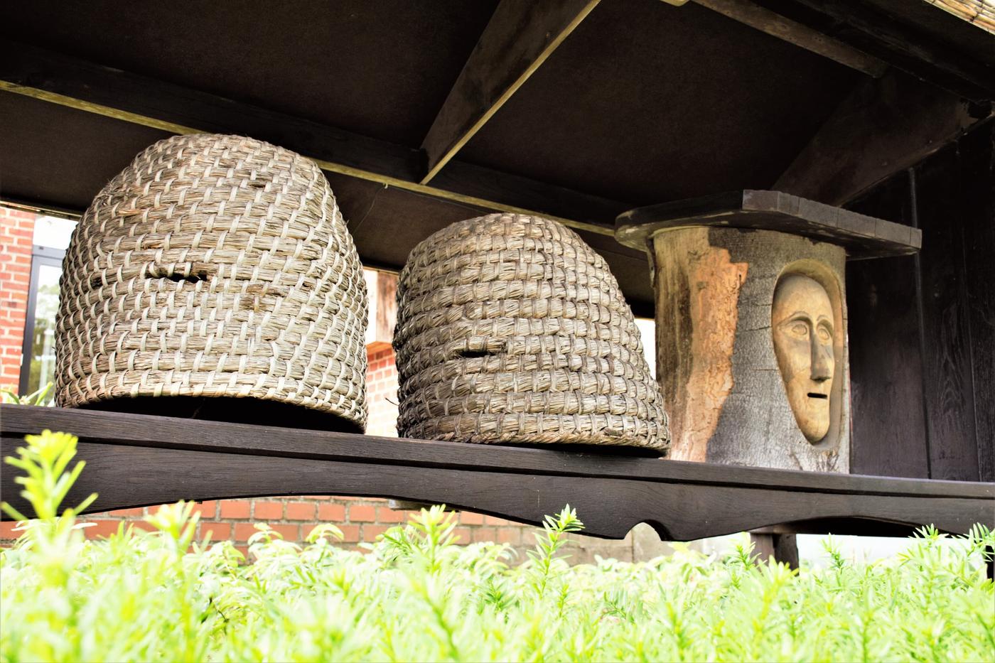 Faszinierende Welt der Bienen