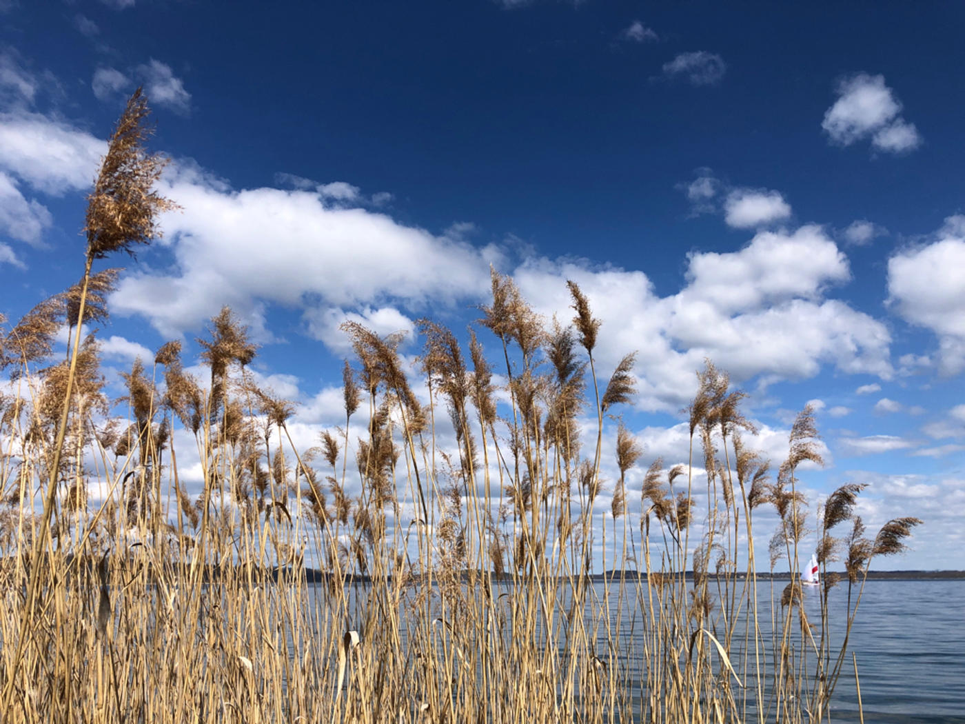 Kletterpark und Minigolf an der Blauen Lagune