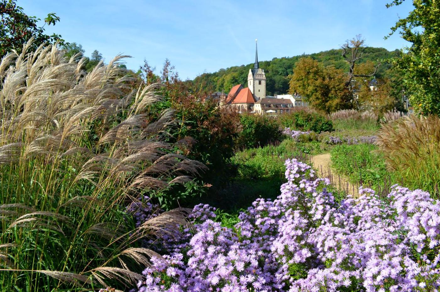 Grüne Oase in Thüringen