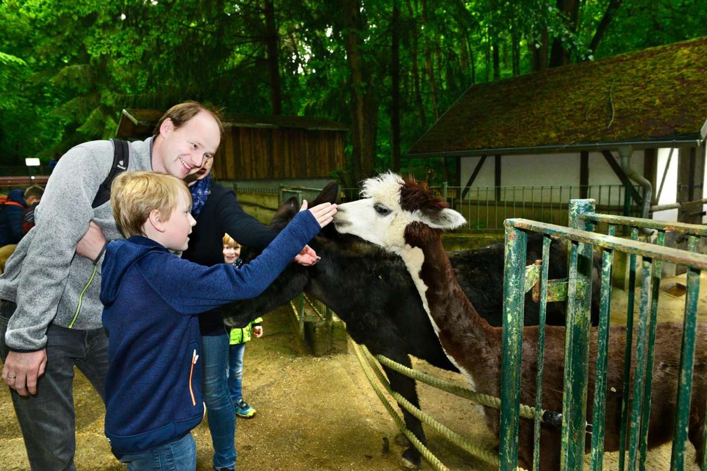 Tierisches Vergnügen im Wald