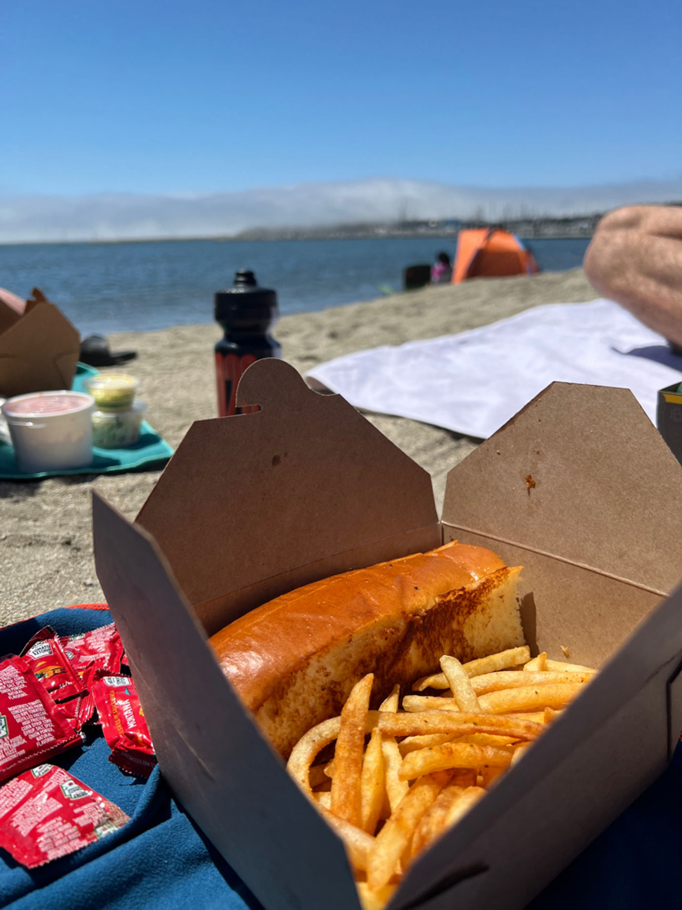 Dressed lobster rolls on the beach