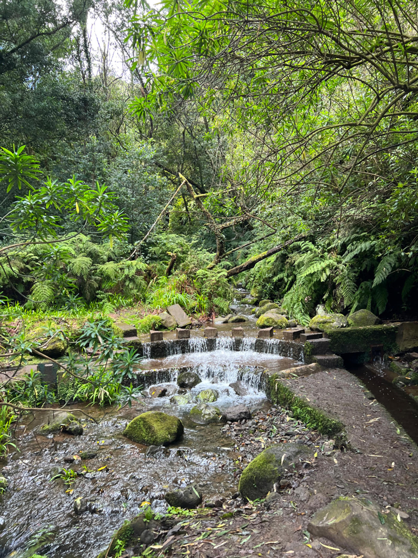 Go chasing waterfalls