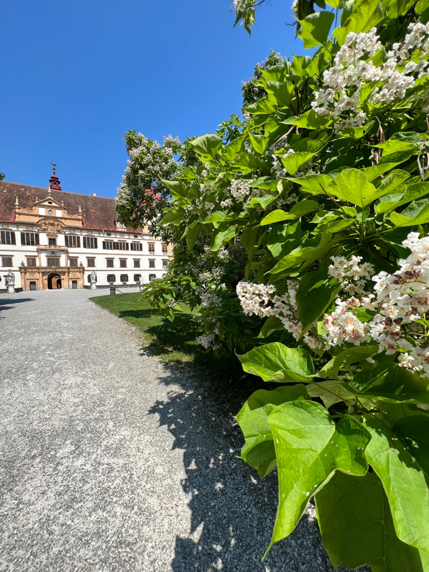 Fürstlich picknicken 🌳