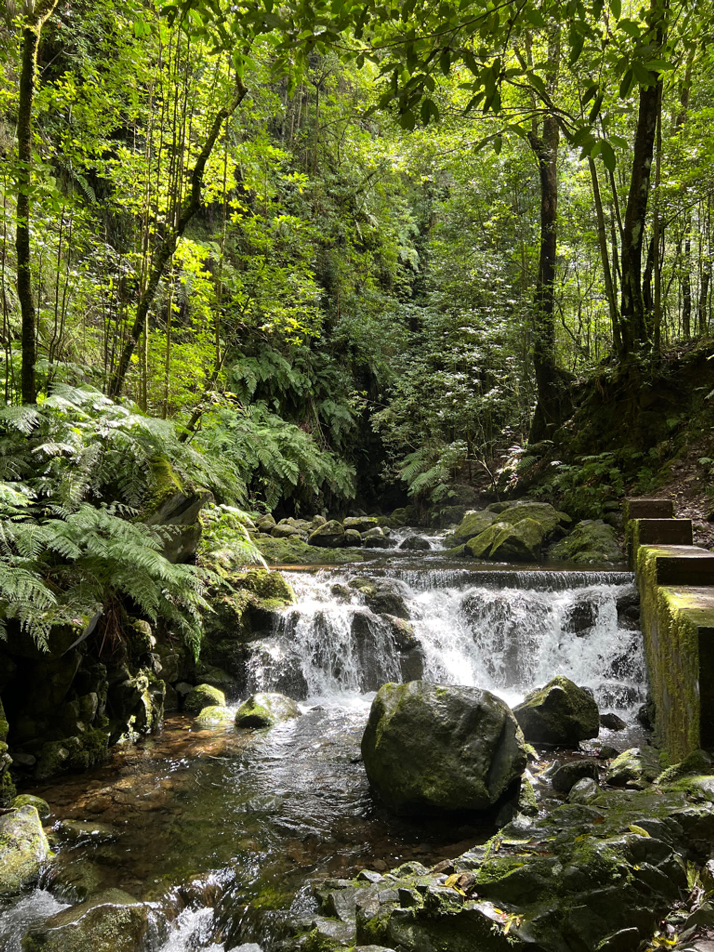 Go chasing waterfalls