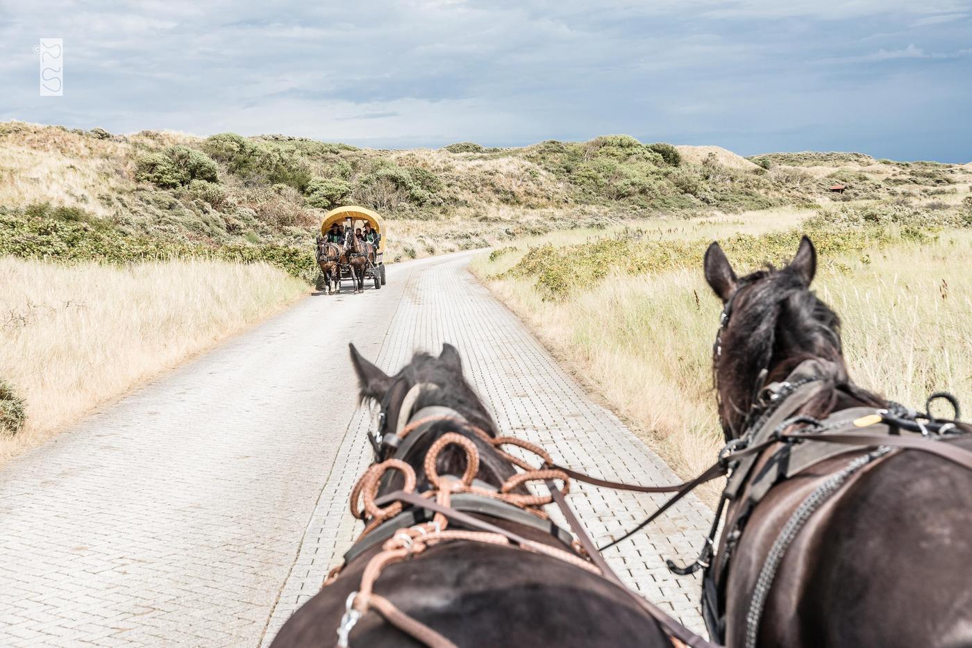 Zauber der Farben am Strand