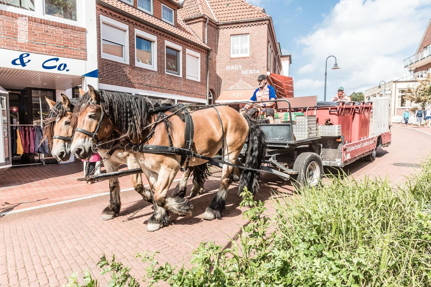 Die wohl fotogenste Müllabfuhr der Welt!