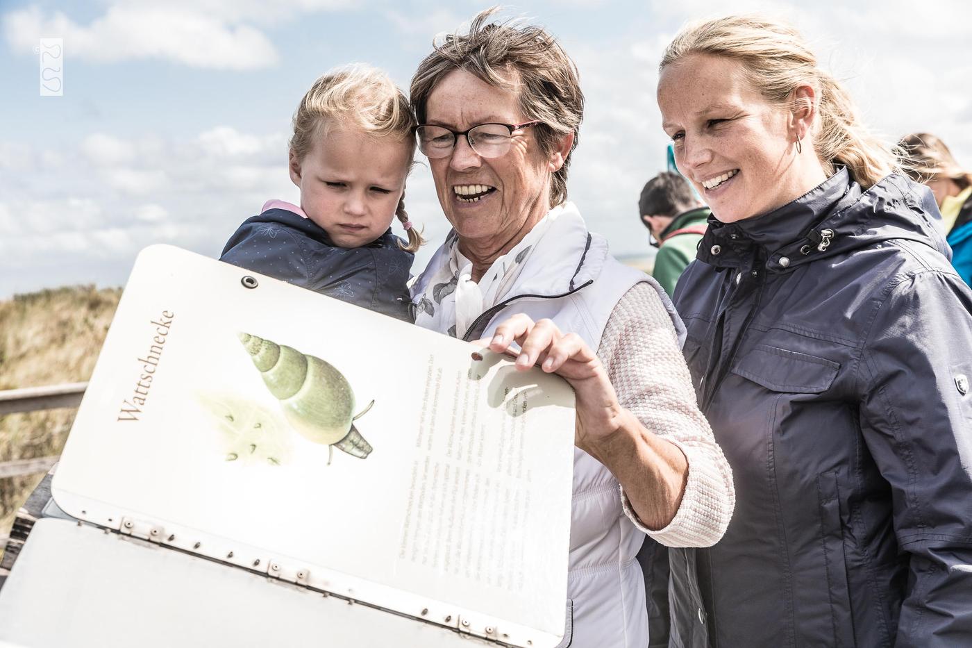 Ein Spaziergang durch Natur und Kunst