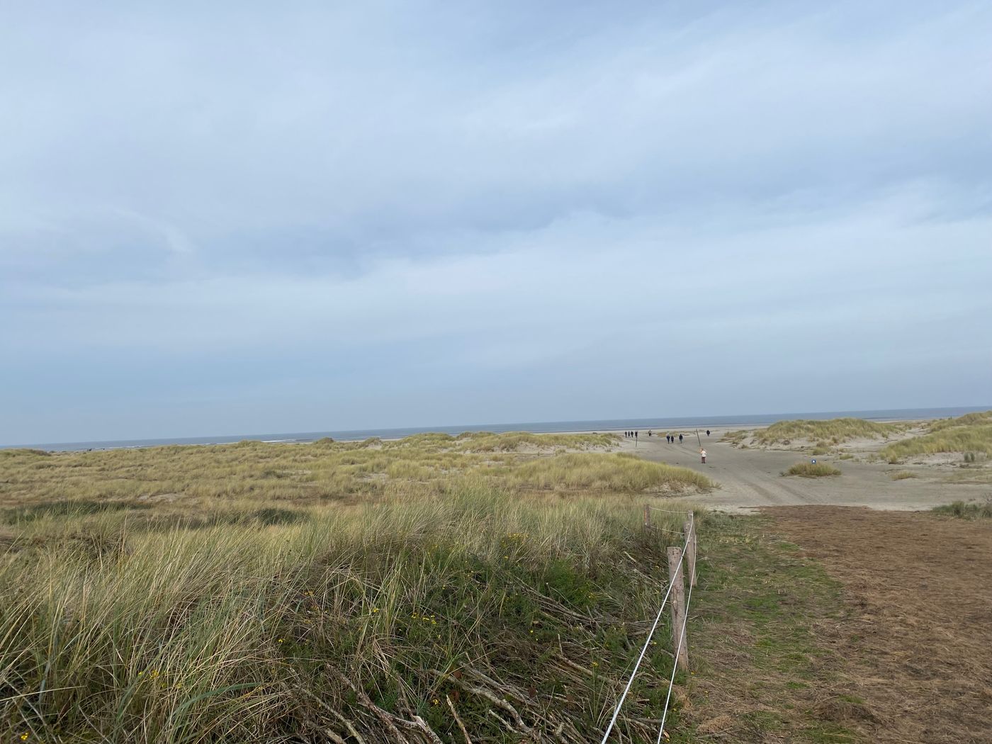 Geheimnisvolle Naturpfade und Vogelgesänge